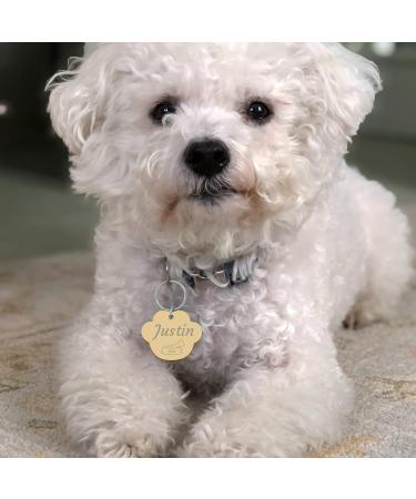 Personalized Engraved Dog Tags | Custom Stainless Steel Pet ID Badges for Dogs & Cats - Various Shapes & Styles - Buy Online on GoSupps.com
