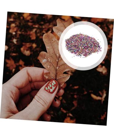 Beatifufu 1 Glass Chip Epoxy Filling Glass Charms Filling DIY Nail Art Crushed Glass Nail Art Rhinestones DIY Charm Fillers DIY Epoxy Fillers Irregular Glass Epoxy Fillers Nail Crushed Glass 0.5X0.3cm Colorful - Buy Online on GoSupps.com