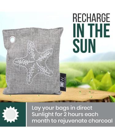 Oasisworks Bamboo Activated Charcoal Air Purifying Bags (4 Pack) - Odor Absorber for Home and Car - Pet Friendly Charcoal Air Purifier Bags - Buy Online on GoSupps.com