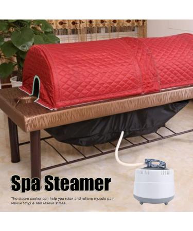 Spa Steamer 1-9 Gears Temperature Setting 0-99 Minutes Time Setting Household Spa Steamer Pot for Adults Use for Sweat Bath Box for Wooden Barrel Bath Tub(#4) - Buy Online on GoSupps.com