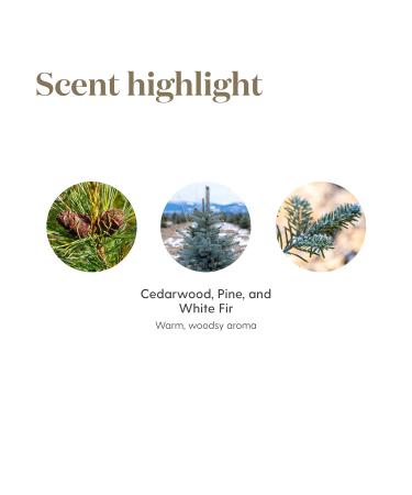 Grounding Essential Oil Blend | Empowering Aroma for Inner Strength | 5 ml by Young Living | Uplift & Ground Your Day - Buy Online on GoSupps.com