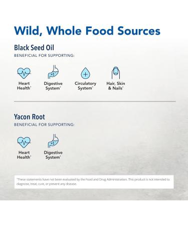 NORTH AMERICAN HERB & SPICE Black Seed Gummies Pomegranate Flavor - 60 Gummies - Cardiovascular & Digestive Support - Non-GMO - 30 Servings 60 Count (Pack of 1) - Buy Online on GoSupps.com