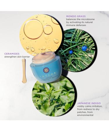 TATCHA Replenishing Nourishment Duo: Dewy Skin Cream & Indigo Overnight Repair Serum 1.7 oz - AM + PM - Buy Online on GoSupps.com