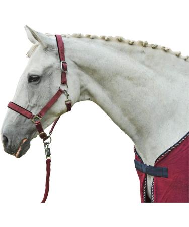 HKM Stars Knit Darkelila 180 cm - Premium International Shipping | Shop Stylish Equestrian Gear Online - Buy Online on GoSupps.com