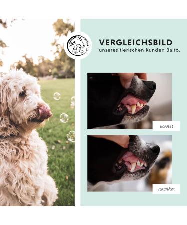 Annimally Dental Care Powder for Dogs - Natural Tartar Remover Yellow Teeth & Bad Breath Solution (350g XL) - Buy Online on GoSupps.com
