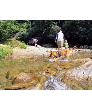 10m Tow Leash for Dogs | Durable Nylon Training Line with Padded Handle | Ideal for Large & Small Dogs | International Shipping Available - Buy Online on GoSupps.com