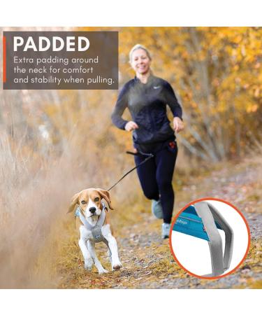 Non-stop dogwear FREEMOTION Harness 5.0 | Blue/Grey | Sport Dog Harness | Size 9 | International Shipping Available - Buy Online on GoSupps.com