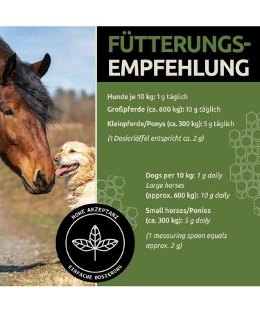 Greenpet MSM Powder for Dogs & Horses | 500g High-Purity Methylsulfonylmethane | 99.94% Pure Organic Sulfur for Joint Health Tendons & Cartilage Support - Buy Online on GoSupps.com