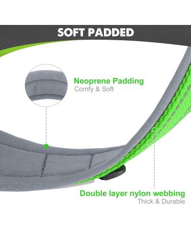 Joytale Neoprene Dog Collar for Medium Dogs - Softly Padded Reflective Green - Durable Nylon Ideal for Safe Walks (1 Pack) - Buy Online on GoSupps.com