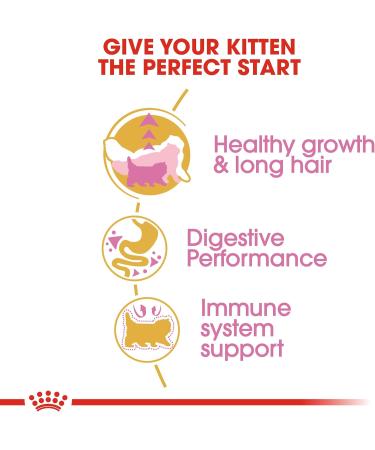 Royal Canin Kitten Food Persian 32 Dry Mix 4 kg 4 kg (Pack of 1) - Buy Online on GoSupps.com