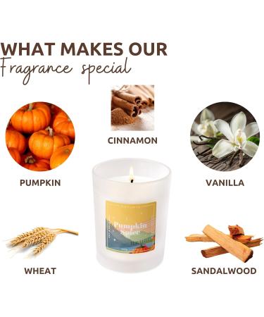 Folkulture Fall Candles - Scented Soy Wax Pumpkin Spice Candle Jar - 50 Hr Burn Time Non-Toxic & Odor Eliminating - Perfect Candle Gifts for Women - Buy Online on GoSupps.com