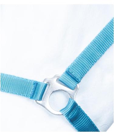 Buy RL24 Nylon Halter BASICLINE in Turquoise/Aqua for Thoroughbreds - International Shipping Available - Buy Online on GoSupps.com