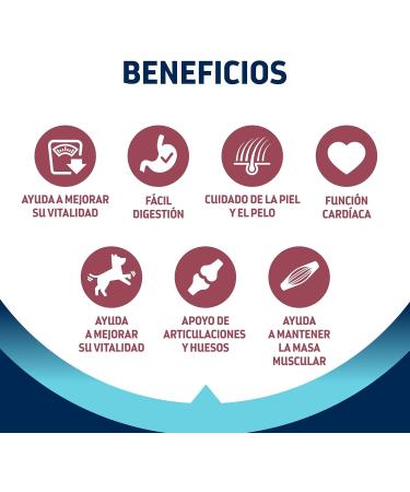 Advance Vitality Senior Maxi - Croquettes for Senior Dogs (+6 Years) of Large Breed with Chicken - 12kg - Buy Online on GoSupps.com