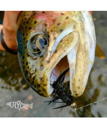 The Fly Crate Woolly Bugger Flies for Trout - Streamer Fly Fishing Assortment | Best Quality International Shipping - Buy Online on GoSupps.com