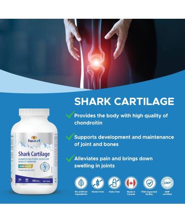 MapleLife Nutrition - Shark Cartilage 750mg - Excellent Source of Chondroitin - High Potency Pure Ingredients Calcium Carbohydrates Maintain Bone Health Reduce Joint Pain Anti-Inflammation Reduce Swelling & Redness of Joints Free of Artificial Ingredients - Buy Online on GoSupps.com