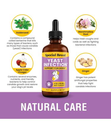 Yeast Infection Treatment for Dogs | 4 oz Soothing Relief for Itching Ear Infections & Inflammation - Buy Online on GoSupps.com
