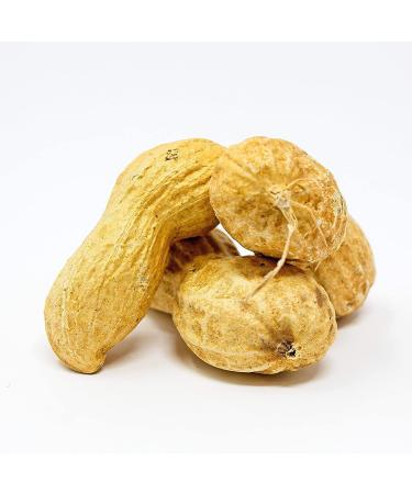 Premium USA Grown Raw Peanuts in Shell for Squirrels - Unsalted & Boiled Jumbo Peanuts for Birds - Green - Buy Online on GoSupps.com