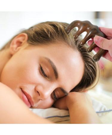 Nolitoy Wooden Massage Comb - Breistzahn Headscarf Massage Device for Scalp Care Dandruff Relief Wet & Dry Use - Natural Wood Brush - Buy Online on GoSupps.com