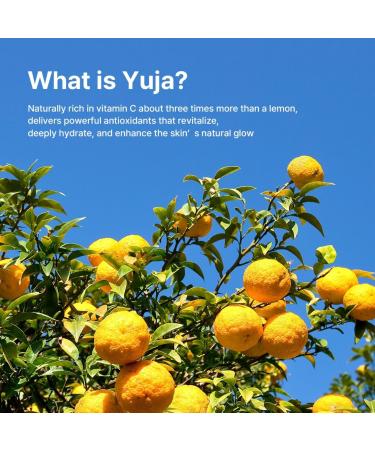 Farmstay Citrus Yuja Vitalizing Toner Vitamin C Facial Toner for Dry & Sensitive Skin Dark Spot Correcting Moisturizing & pH-Balancing Smoothing Korean Skin Care for Women & Men 9.46 fl. oz. - Buy Online on GoSupps.com