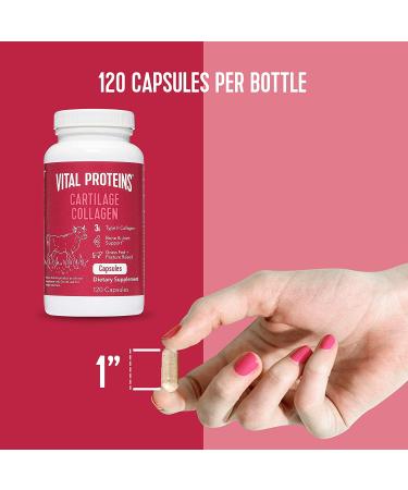 Vital Proteins Cartilage Collagen - 120 Capsules for Joint Health & Flexibility - Buy Online on GoSupps.com