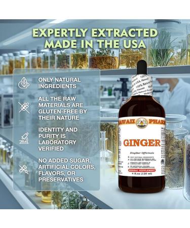 Ginger (Zingiber Officinale) Dry Root Tincture, Made in Hawaii, Organic Raw Materials, All Natural, Vegan, Pure Liquid Extract - 4 fl.oz 4 Fl Oz (Pack of 1) - Buy Online on GoSupps.com