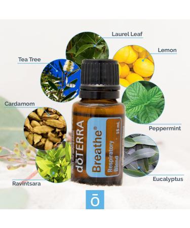 doTERRA Breathe Essential Oil Respiratory Blend - 15 ml | Natural Relief for Congestion and Respiratory Support - Buy Online on GoSupps.com