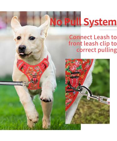 Heele Dog Crockery & Reflective No-Pull Harness for Small Dogs - Adjustable Padded Breast Harness & Dish in XS Flower Red - Buy Online on GoSupps.com