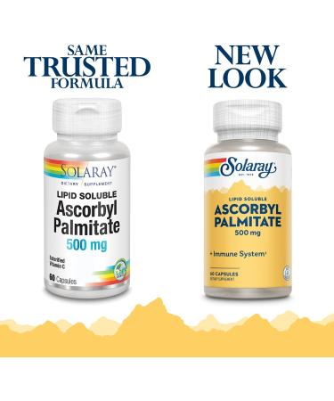 Solaray Ascorbyl Palmitate 500 mg | 60 Capsules - Powerful Antioxidant Supplement - Buy Online on GoSupps.com