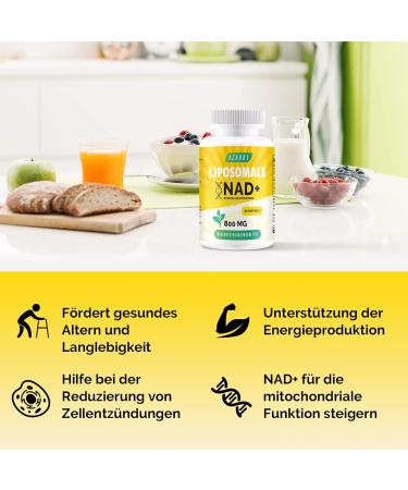 Liposomal NAD+ Trans-Resveratrol 800 mg Softgels | High Absorption NAD+ Supplement for Cell Repair | 60 & 180 Softgels (3 Pack) - Superior Alternative for Optimal Efficiency - Buy Online on GoSupps.com