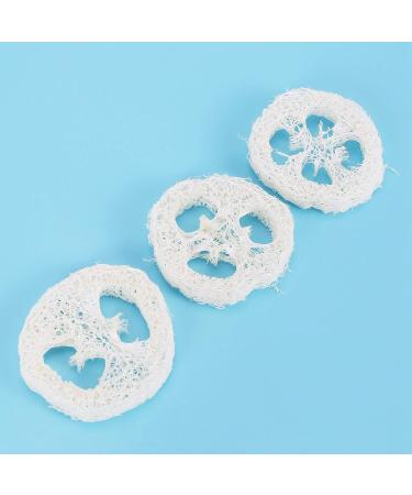 Natural Loofah Slice 50Pcs/Lot - DIY Soap Tools Cleaner Sponge Scrubber - 4-6cm Wide - Facial Soap Holder - Buy Online on GoSupps.com
