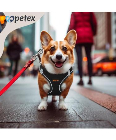 Petex Dog Harness for Small & Medium Dogs - TUV Tested Made in Europe Air Mesh Technology Reflective & Breathable - Buy Now! - Buy Online on GoSupps.com