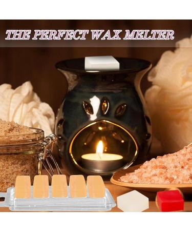 Buy 100 Transparent Wax Melting Forms | Candle Glasses with 5 Hollows for Homemade Candles - Visiblurry - Buy Online on GoSupps.com