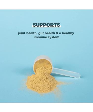 Dr. Axe Ancient Nutrition Bone Broth Protein Vanilla - 17.4 oz | Nutrient-Rich Superfood - Buy Online on GoSupps.com