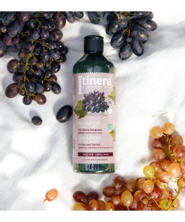 Volume & Curls Shampoo with Tuscan Red Grapes | Defined & Bouncy Curls | Vegan & 95% Natural Ingredients | 12.51 fl oz - Shop Internationally - Buy Online on GoSupps.com
