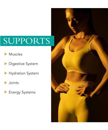 Xtravit Post Workout Powder - Natural Vanilla Nutrition Supplement with 20g Protein Essential Amino Acids Creatine & GI Support for Men & Women - No Added Sugar or Fillers 38.8 oz. 30 Servings - Buy Online on GoSupps.com