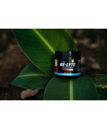 Redmond Re-Lyte Hydration Electrolyte Mix - Strawberry Lemonade | International Shipping - Buy Online on GoSupps.com