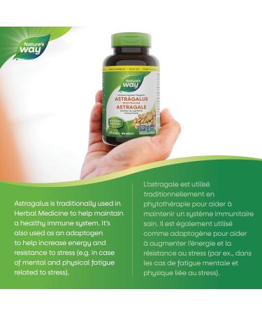 Nature's Way Astragalus Root Iummune System Support Value Size 180 Vegetarian Capsules 180 count (Pack of 1) - Buy Online on GoSupps.com