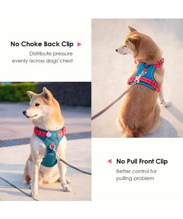 Phoepet No Pull Dog Harness - Reflective Vest with Soft Handle for Small Medium & Large Dogs | Blue-Green & Red - Size L - Buy Online on GoSupps.com