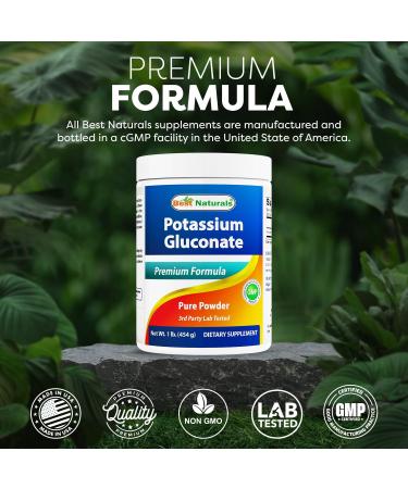 Best Naturals Potassium Gluconate 1lb Powder (1 LB (Pack of 3)) - Buy Online on GoSupps.com