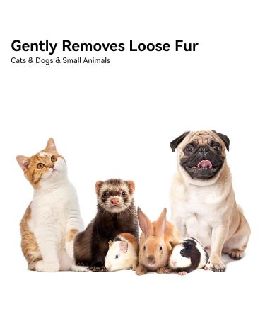 Self-Cleaning Cat Brush for Short-Haired Cats | Aumuca Pet Hair Brush - Removes Mats & Loose Fur (Green) - Buy Online on GoSupps.com