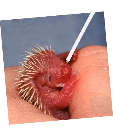 Buy MipCase 9-Piece Bird Feeding Hose Set with Soft Probes | Premium Accessories for Pet Birds - International Shipping Available - Buy Online on GoSupps.com