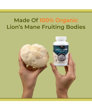 Brain & Focus Bundle Sacred 7 Mushroom Coffee Booster 60 Serving + Organic Lion s Mane Powder 60 Serving | Nootropic Mushroom Supplement for Memory Clarity & Energy | 100% Organic Fruiting Bodies - Buy Online on GoSupps.com