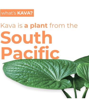 LEILO | Kava Powered Sparkling Relaxation Drink | Tangerine Mango - Non-ALC Calming Beverage | 12 fl oz Cans (Pack of 12) Classic | Tangerine Mango 12 Fl Oz (Pack of 12) - Buy Online on GoSupps.com