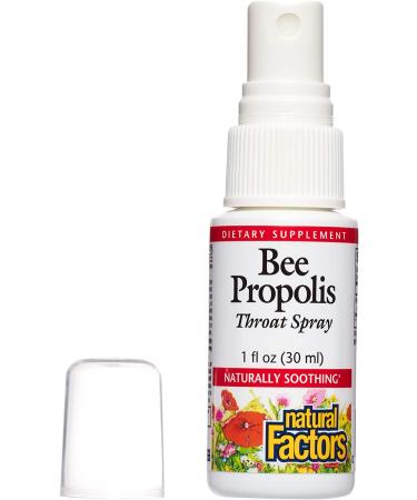Natural Factors Bee Propolis Throat Spray 1 fl oz | Immune Support & Soothing Relief - Buy Online on GoSupps.com