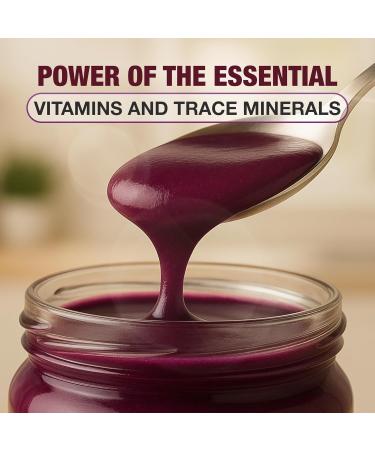 Biolore Pure Sea Moss Gel Duo Bundle | 16 oz Gel & 8 oz Gel | Elderberry + Mango Chili Zing | No Added Sugar Gluten Free Vegan Made in USA - Buy Online on GoSupps.com