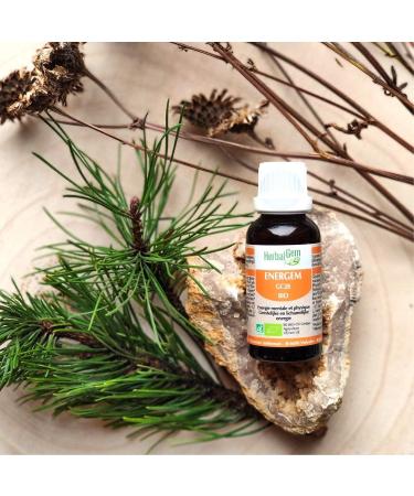 HerbalGem | Energem Organic Complex | Mental Physical & Emotional Stability | 30ml - Buy Online on GoSupps.com