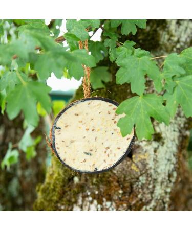 Lyra Pet 3 x 10 Filled Coconut Halves | High Fat Bird Food | Coconut with different toppings - Buy Online on GoSupps.com
