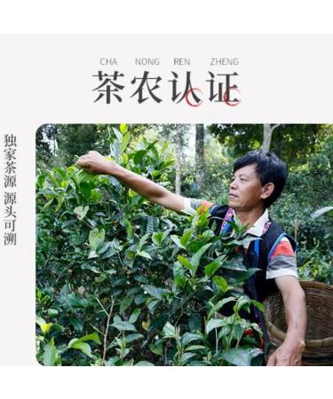 Pu-erh tea 2022 Jingmai Laozhai 357g Raw - Buy Online on GoSupps.com