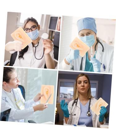 Buy FRCOLOR Ear Model Hearing Amplifiers - Portable Anatomy Display for Teaching & Presentations - Perfect Science Tool for Education - Buy Online on GoSupps.com