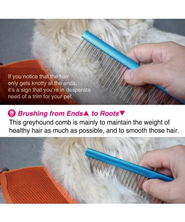 Pet Grooming Comb for Dogs and Cats - Metal Detangling Tool with Stainless Steel Pins - Shedding and Matted Hair Remover - Oval Handle - Blue (M) - Buy Online on GoSupps.com